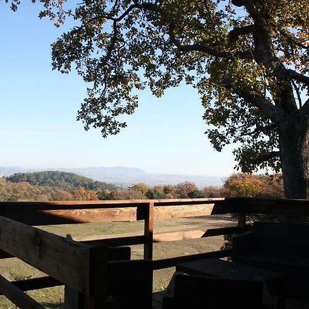 Les Chalets En Cevennes Saint-Christol-lès-Alès 외부 사진