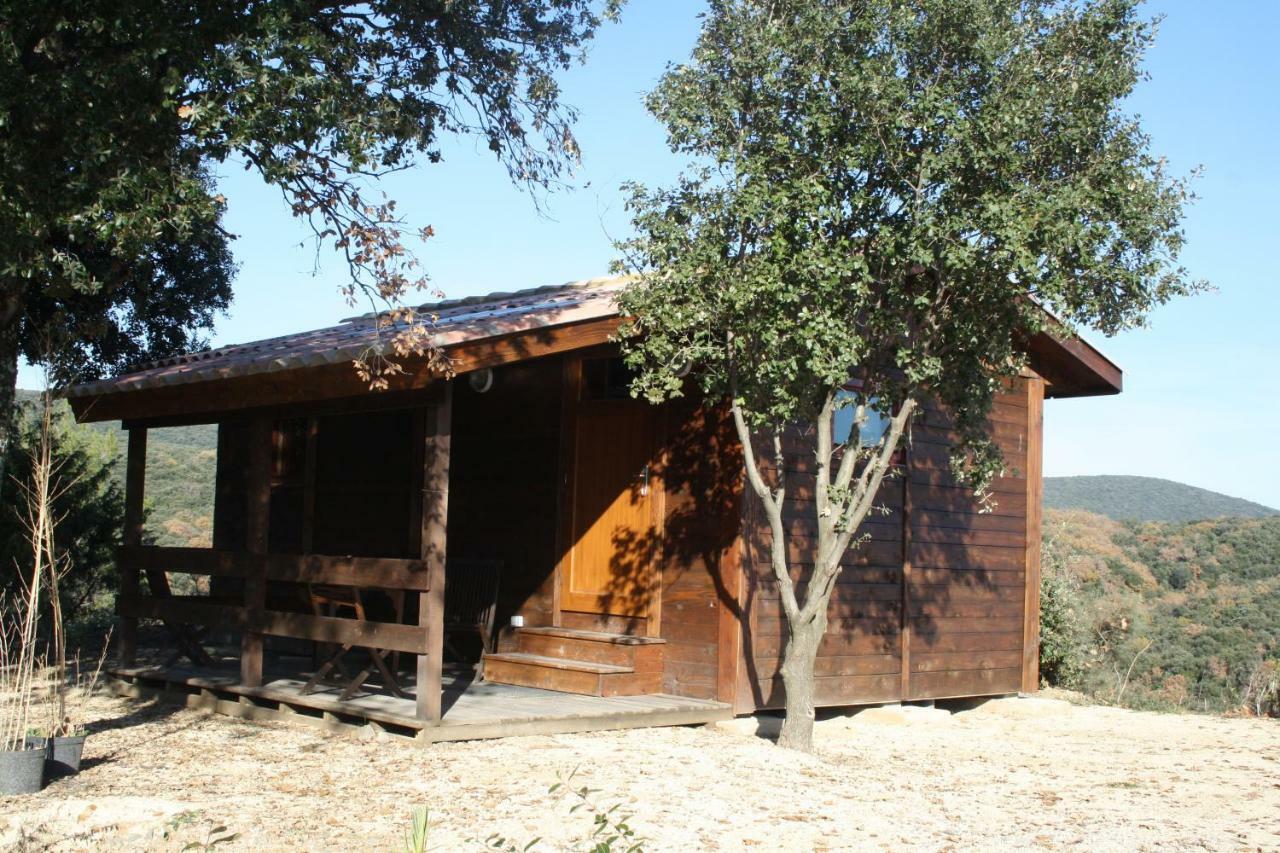 Les Chalets En Cevennes Saint-Christol-lès-Alès 외부 사진