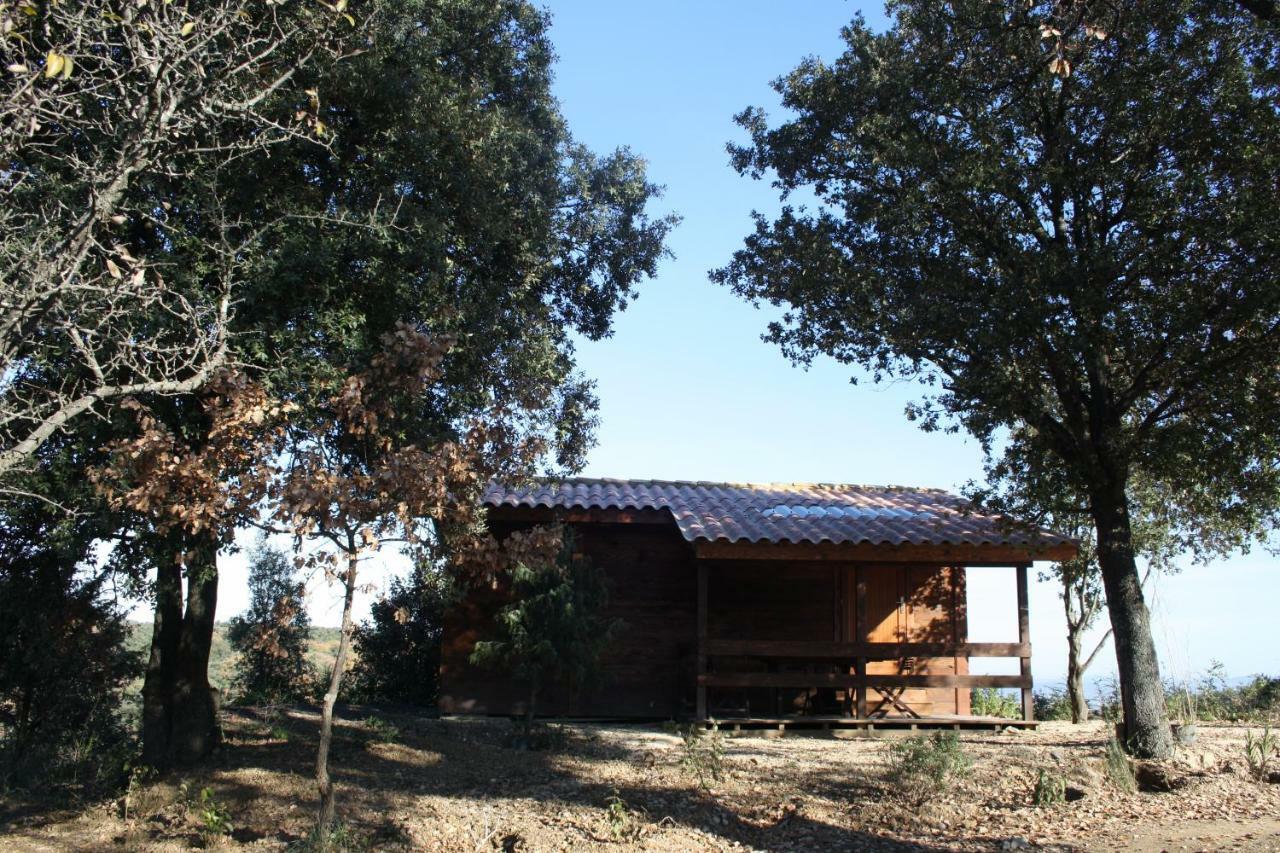 Les Chalets En Cevennes Saint-Christol-lès-Alès 외부 사진